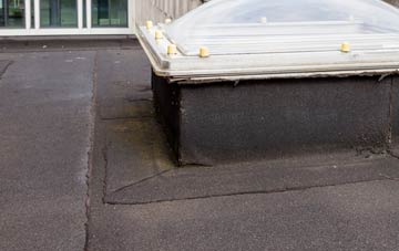 disadvantages of Wheelbarrow Town flat roofs