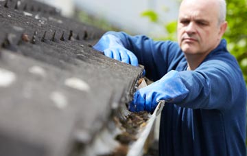 cleaning and inspecting Wheelbarrow Town roofs