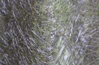 Wheelbarrow Town fibreglass roof work